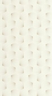 Caselio Graphic GPC105520945 - Grijs Behang