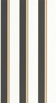 Caselio Graphic GPC105530941 - Zwart Behang