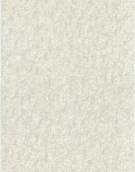 Dutch First Class Fusione 73510 Cr&egrave;me Behang