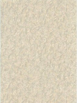 Dutch First Class Fusione 73511 Cr&egrave;me / Grijs Behang