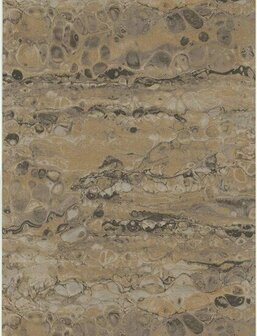 Dutch First Class Fusione 73519 Goud Behang