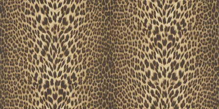 Dutch First Class Roberto Cavalli 9 21041 - Bruin Behang