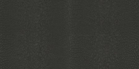 Dutch First Class Roberto Cavalli 9 21044 - Zwart Behang