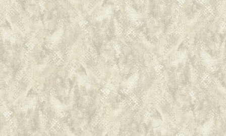 Dutch First Class Roberto Cavalli 9 21053 - Crme Behang