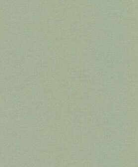 Rasch Sch&ouml;ner Wohnen Cosy Living 600285 Groen Behang