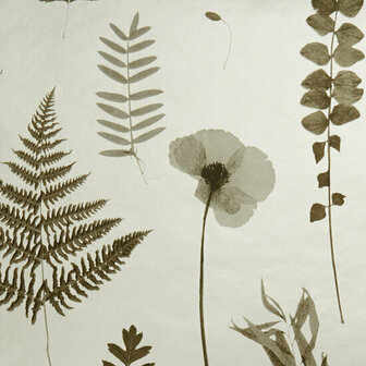 Clarke &amp; Clarke Botanica W0091/02 - Geel Behang