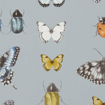 Clarke &amp; Clarke Botanica W0094/03 - Grijs Behang