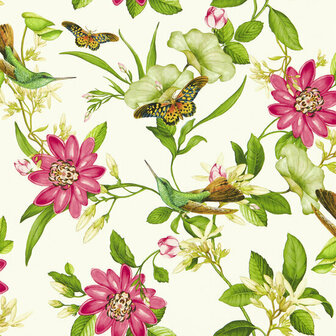 Clarke &amp; Clarke Botanical Wonders W0132/02 - Wit Behang