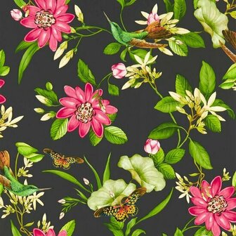 Clarke &amp; Clarke Botanical Wonders W0132/03 - Zwart Behang