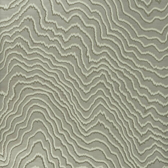 Clarke &amp; Clarke Colony W0082/08 - Beige Behang