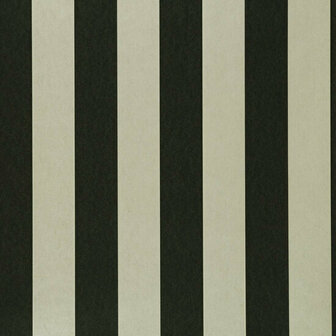Clarke &amp; Clarke Colony W0085/02 - Zwart Behang
