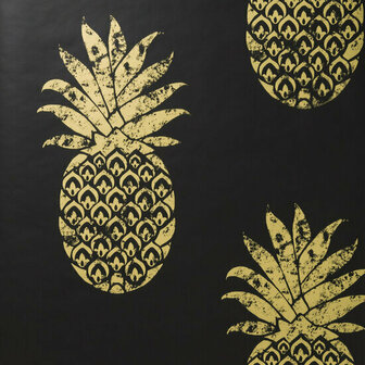 Clarke &amp; Clarke Colony W0086/01 - Zwart Behang