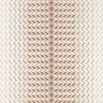 Clarke &amp; Clarke Fushion W0150/01 - Roze Behang