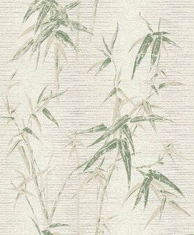 Rasch Tapetenwechsel II 507546 Cr&egrave;me / Groen Behang