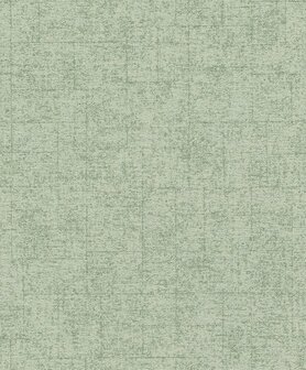 Rasch Tapetenwechsel II 507843 Groen Behang