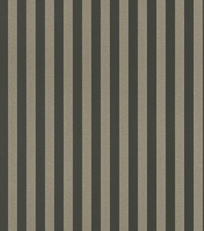 Rasch Trianon XIII 570335 Metallic Zilver / Zwart Behang