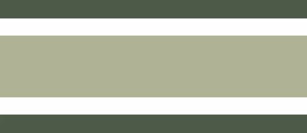 Casadeco Galons &amp; Frises 200387732 - Groen Behang