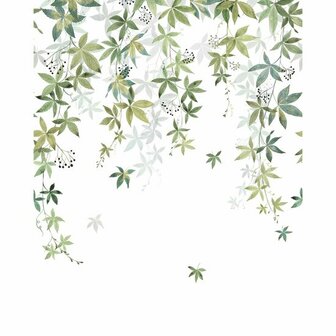 Casadeco Wonderwalls 2 200067205 - Groen Behang