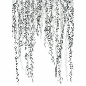 Casadeco Wonderwalls 2 200159403 - Zwart Behang