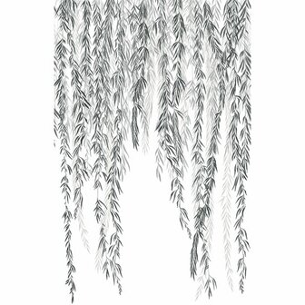 Casadeco Wonderwalls 2 200159404 - Zwart Behang