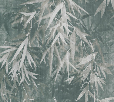 Montecolino Folium / Lymphae FO18607 Behang