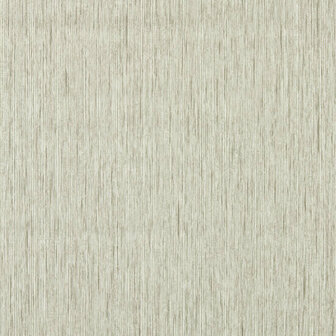 Clarke &amp; Clarke Expressions Performance Wallpapers - Beige W0205/04 Behang