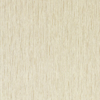 Clarke &amp; Clarke Expressions Performance Wallpapers - Beige W0205/05 Behang