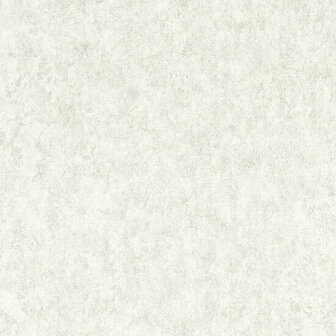 Clarke &amp; Clarke Expressions Performance Wallpapers - Grijs W0208/01 Behang