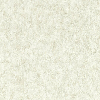 Clarke &amp; Clarke Expressions Performance Wallpapers - Grijs W0208/04 Behang