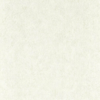 Clarke &amp; Clarke Expressions Performance Wallpapers - Beige W0208/06 Behang