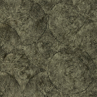 Clarke &amp; Clarke Expressions Performance Wallpapers - Bruin W0209/01 Behang