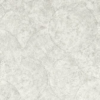 Clarke &amp; Clarke Expressions Performance Wallpapers - Beige W0209/04 Behang