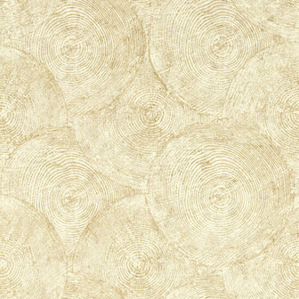 Clarke &amp; Clarke Expressions Performance Wallpapers - Beige W0209/05 Behang