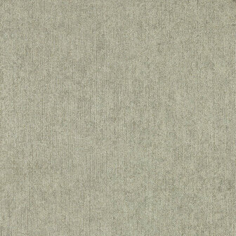 Clarke &amp; Clarke Expressions Performance Wallpapers - Beige W0212/02 Behang