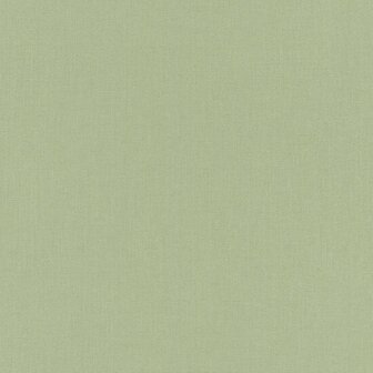 Rasch Allegretto 423938 Groen Behang