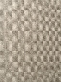 Arte ALL NATURALS SCOPE 42074B Wi / Grijs Behang