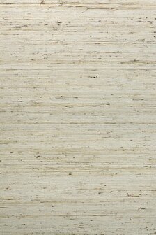 Arte ALL NATURALS KUDZU 54540A Wit Behang