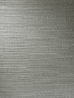 Arte ALL NATURALS LINE 72749A Grijs Behang