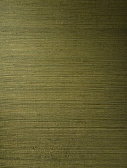 Arte ALL NATURALS LINE 72750A Goud / Groen Behang