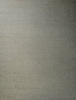 Arte ALL NATURALS LINE 80703C Grijs / Zilver Behang