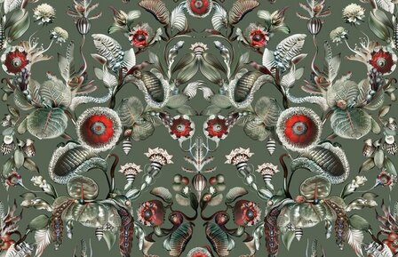 Arte MOOOI GREEN HOUSE COCCINELLA BELLA MO5001 Multicolour Behang