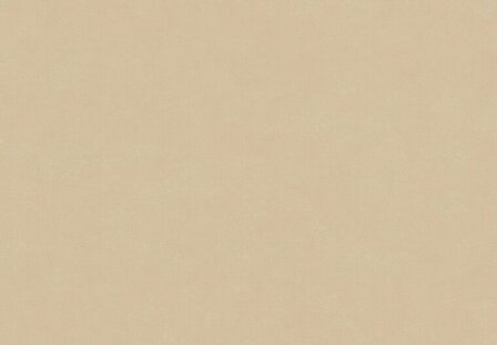 HookedOnWalls NEW BALI 46809 Beige Behang
