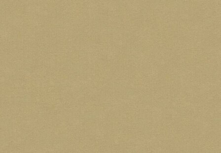 HookedOnWalls NEW BALI 46811 Beige Behang