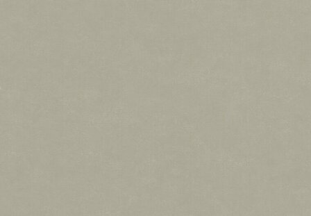 HookedOnWalls NEW BALI 46817 Taupe Behang