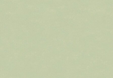 HookedOnWalls NEW BALI 46820 Groen Behang