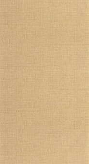 Caselio Matieres - Beige MMT105971245 Behang