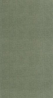 Caselio Matieres - Groen MMT105977206 Behang