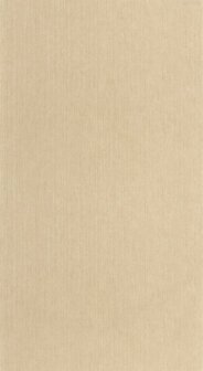 Caselio Matieres - Beige MMT106011245 Behang