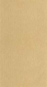 Caselio Matieres - Beige MMT106011403 Behang