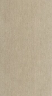 Caselio Matieres - Bruin MMT106012000 Behang